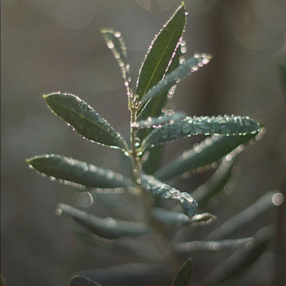 Meet your Posher, Tawnee - Picture 1 of 1